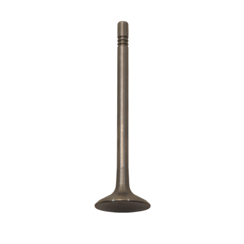 Válvula de admisión