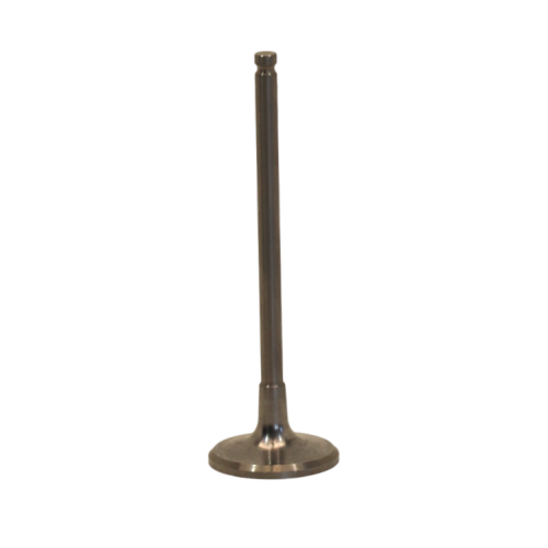 Válvula de admisión