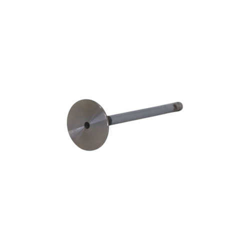 Intake Valve