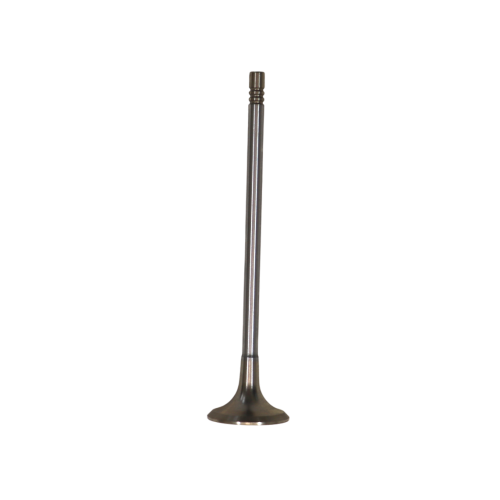 Exhaust Valve