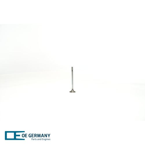 Intake Valve