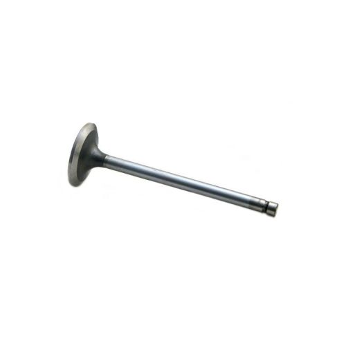 Intake Valve