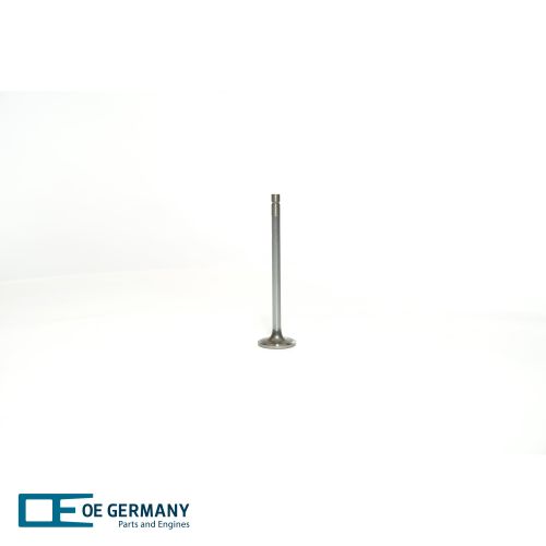 Intake Valve