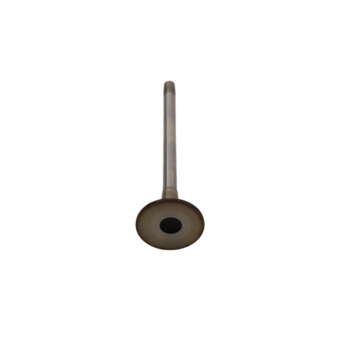 Intake Valve