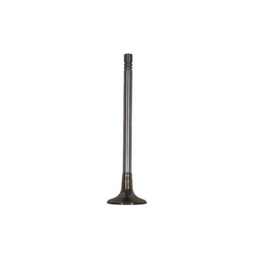 Intake Valve
