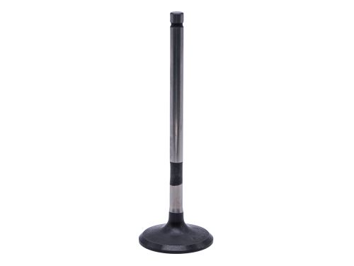 Exhaust Valve