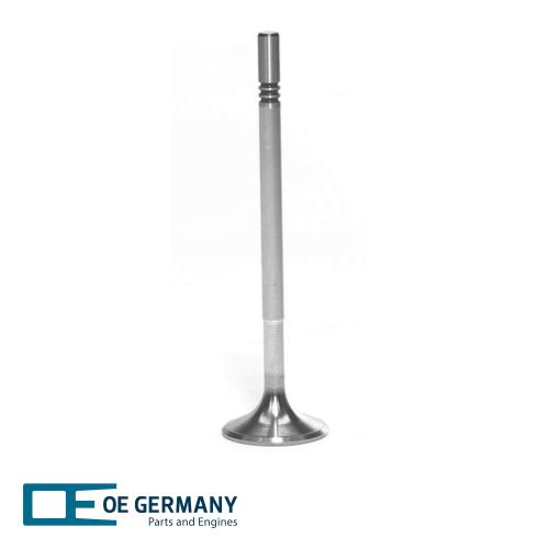 Intake Valve