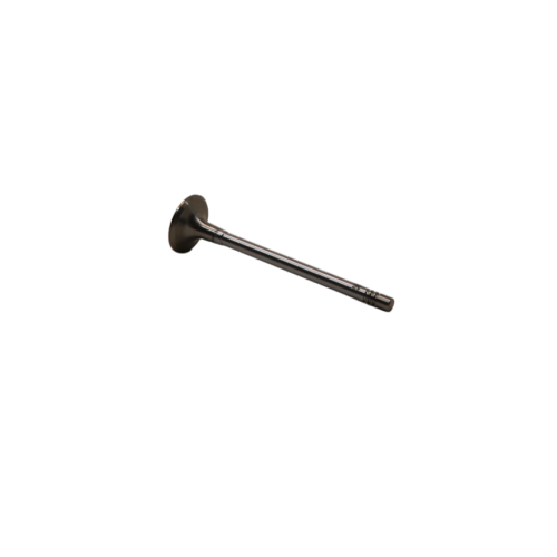 Intake Valve