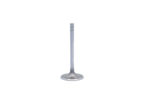 Intake Valve