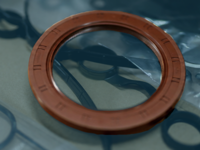  oil seal with other gaskets 