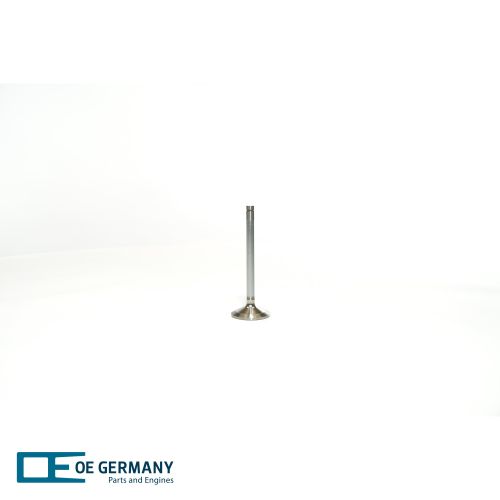 Intake Valve