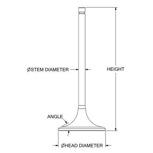 Intake Valve