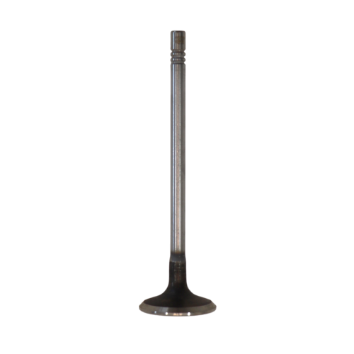 Intake Valve