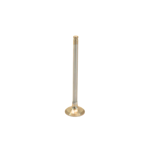Exhaust Valve