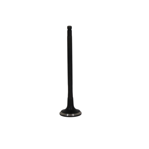 Exhaust Valve