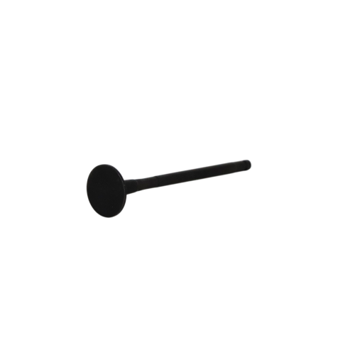 Exhaust Valve
