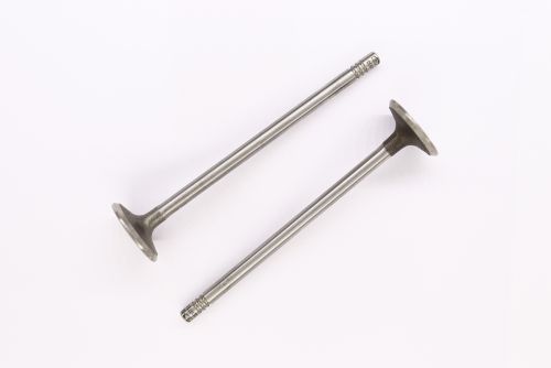 Intake Valve