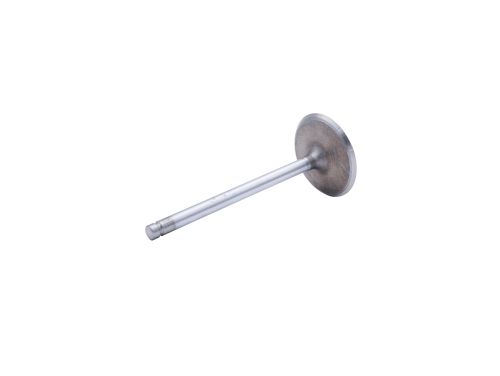Intake Valve