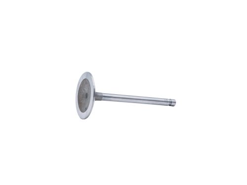 Intake Valve