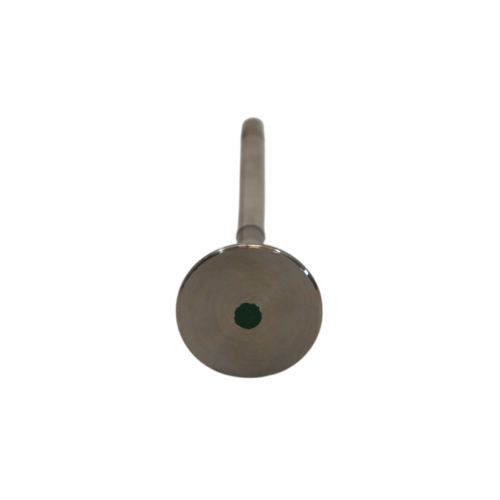 Exhaust Valve