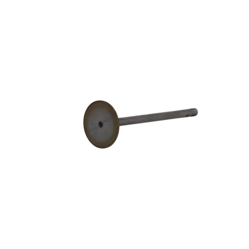 Intake Valve