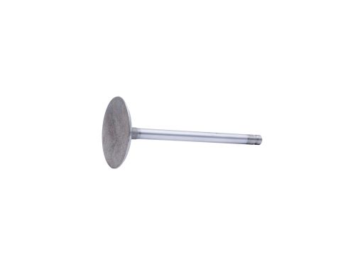 Intake Valve