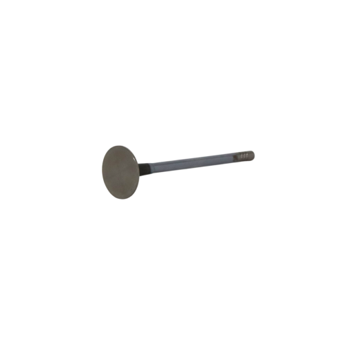 Exhaust Gas Door