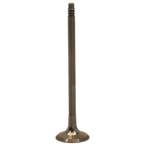 Exhaust Valve
