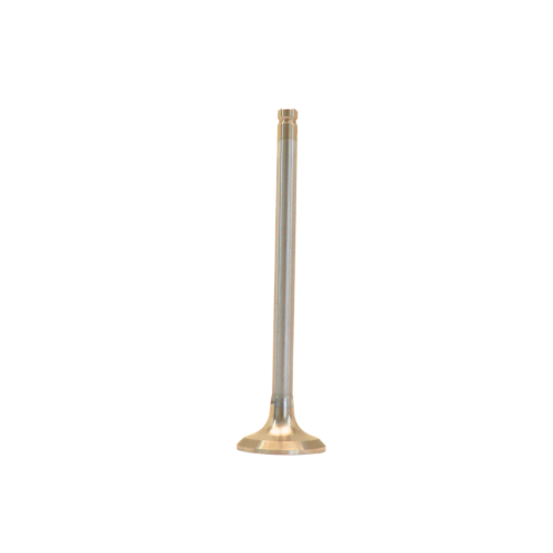 Exhaust Valve