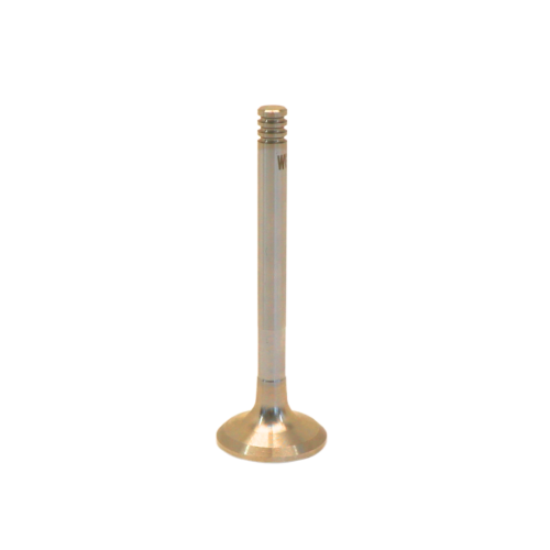 Exhaust Valve