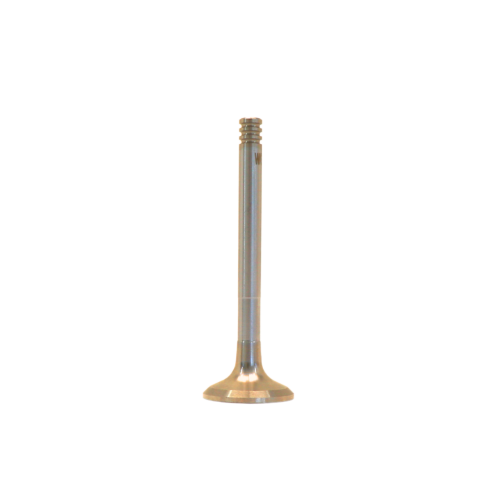Exhaust Valve