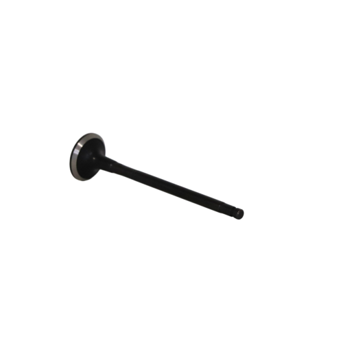 Exhaust Valve