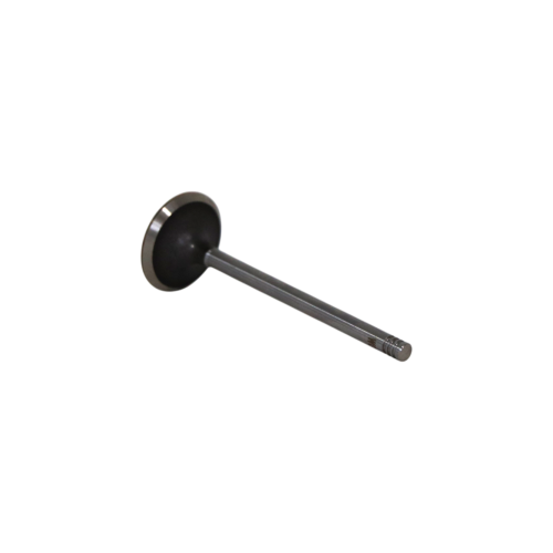 Intake Valve