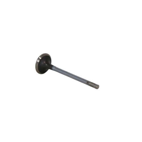 Exhaust Gas Door