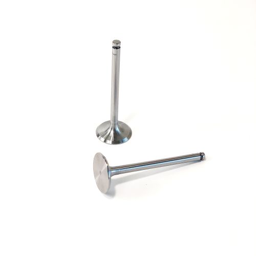 Intake Valve