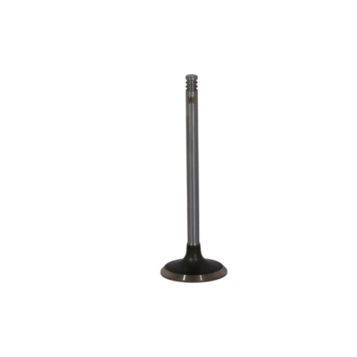 Intake Valve
