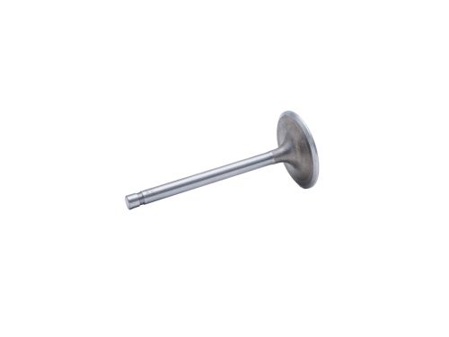 Intake Valve
