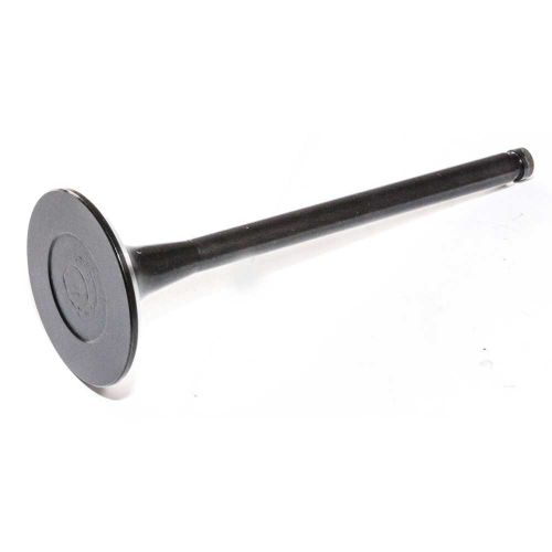 Intake Valve