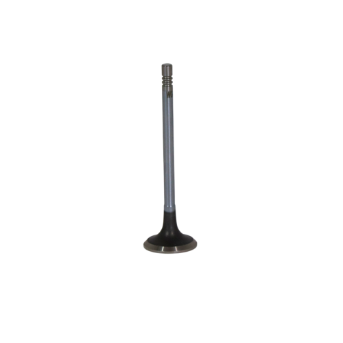 Exhaust Gas Door