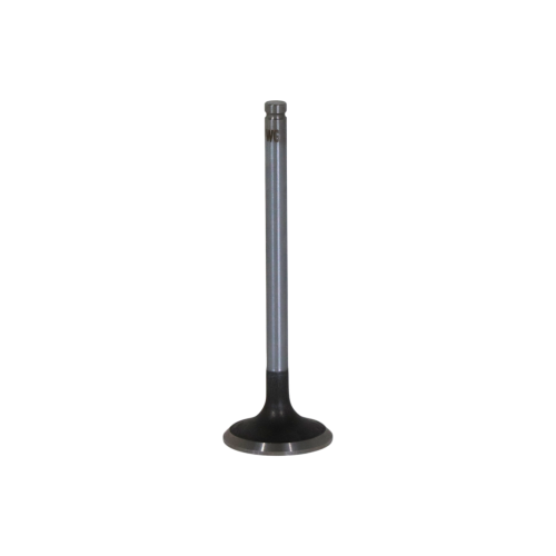 Intake Valve