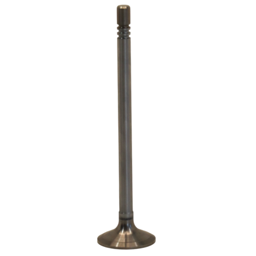 Válvula de admisión