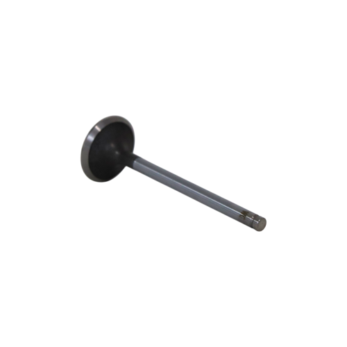 Intake Valve