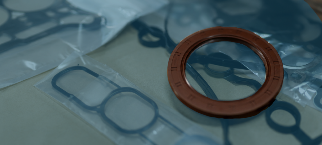 9 popular oil seals
