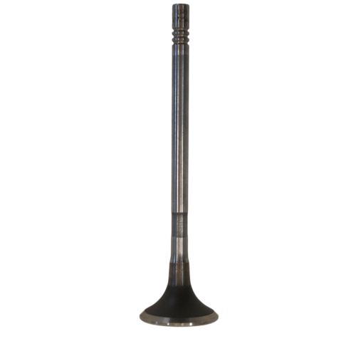 Exhaust Valve