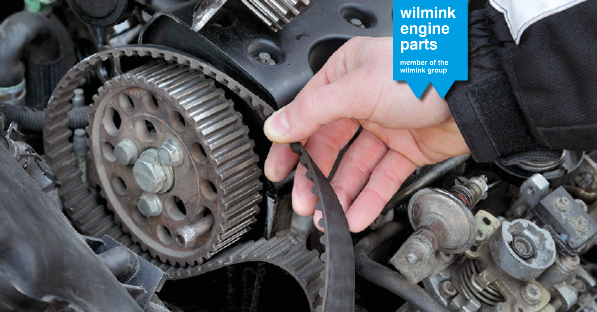 Mit Zylinderkopfschrauben am Laufen bleiben - Wilmink Engine Parts